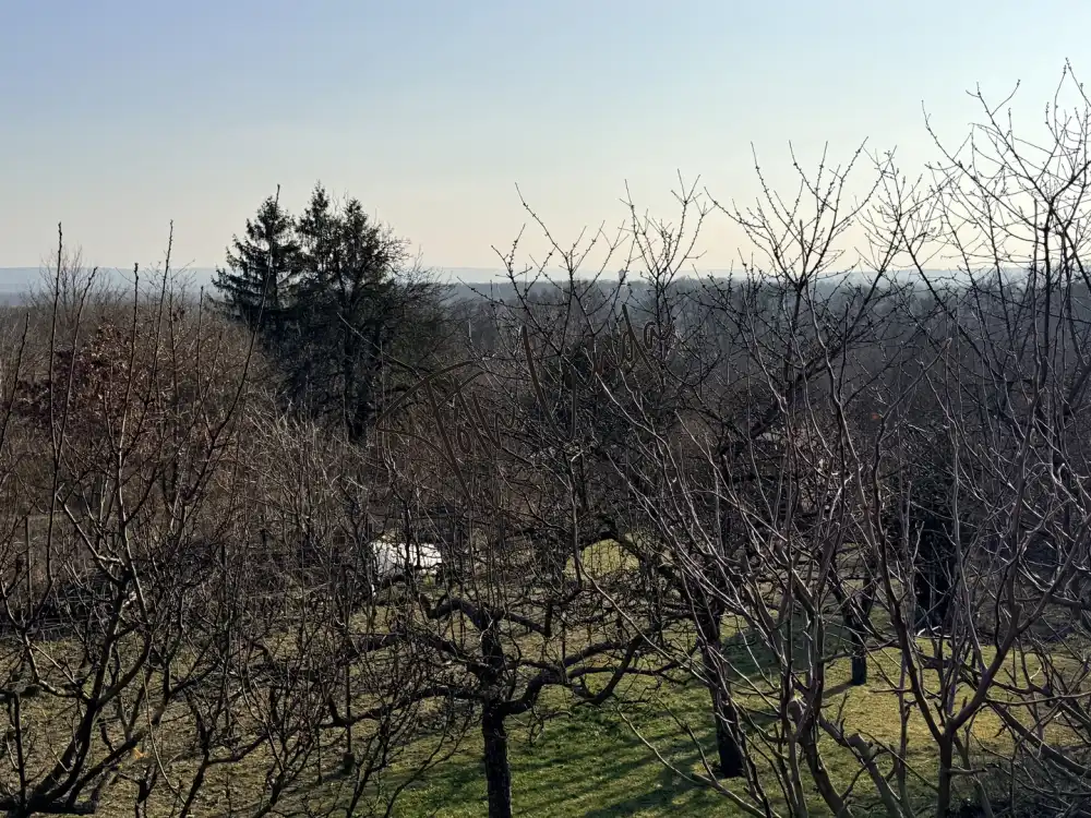 Komárom-Esztergom megye - Oroszlány