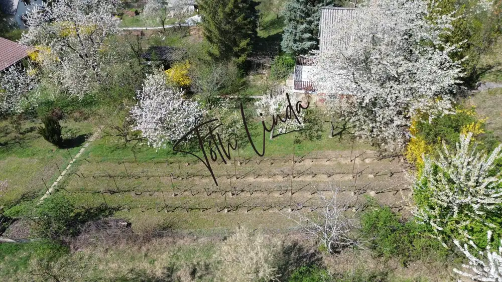 Komárom-Esztergom megye - Oroszlány