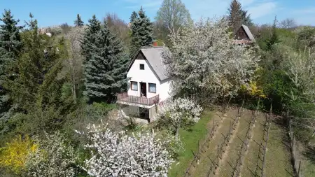 eladó nyaraló, Oroszlány