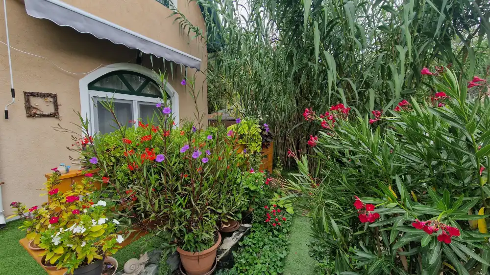 Pest megye - Ráckeve