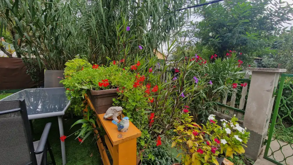 Pest megye - Ráckeve