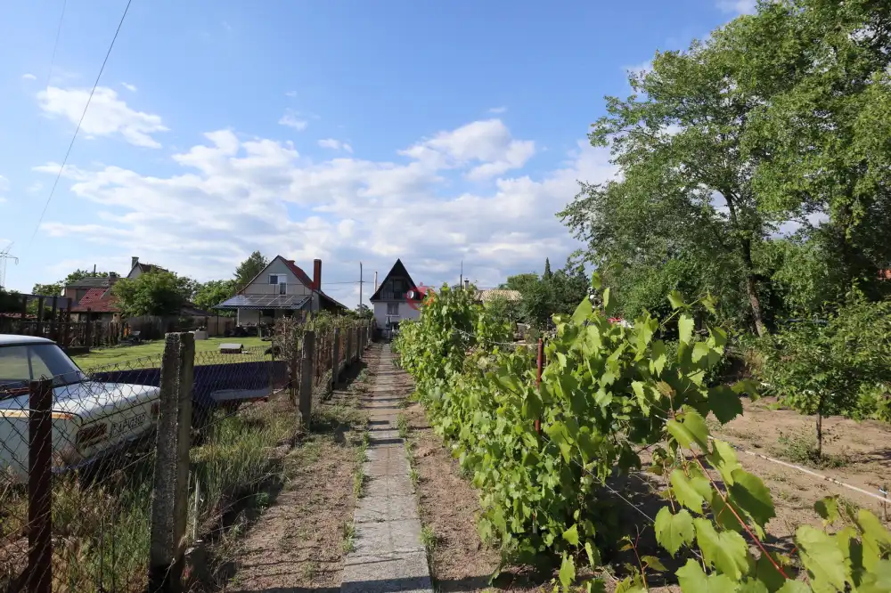 Csongrád megye - Sándorfalva