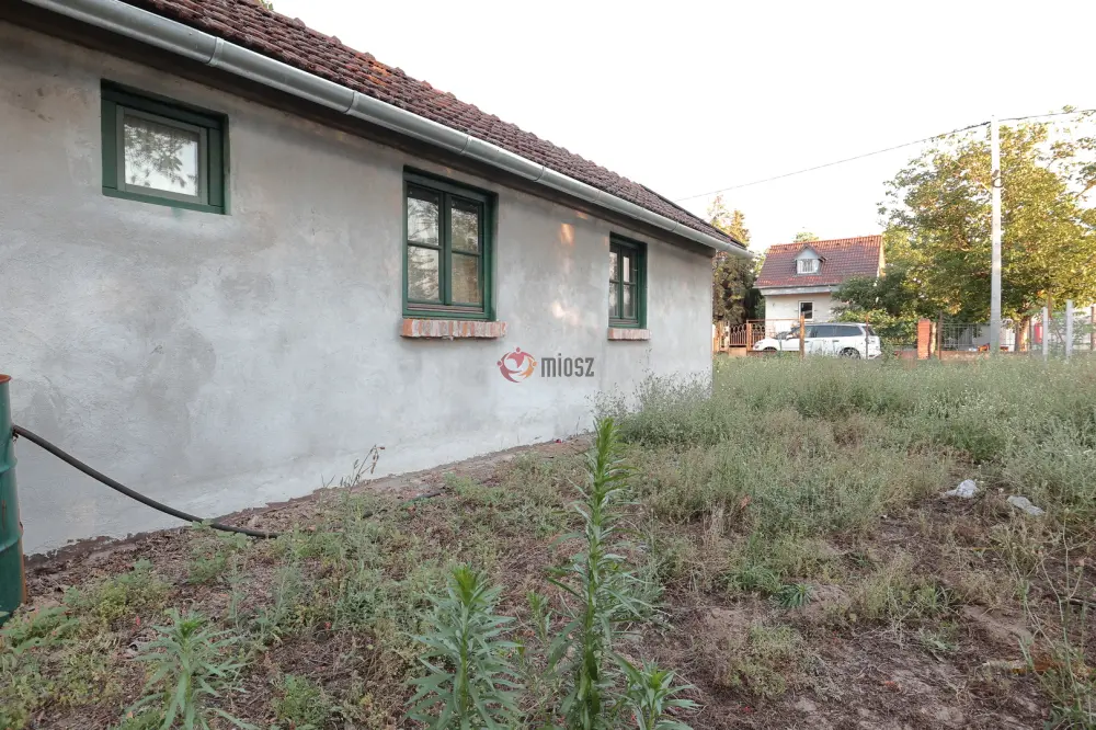 Csongrád megye - Sándorfalva