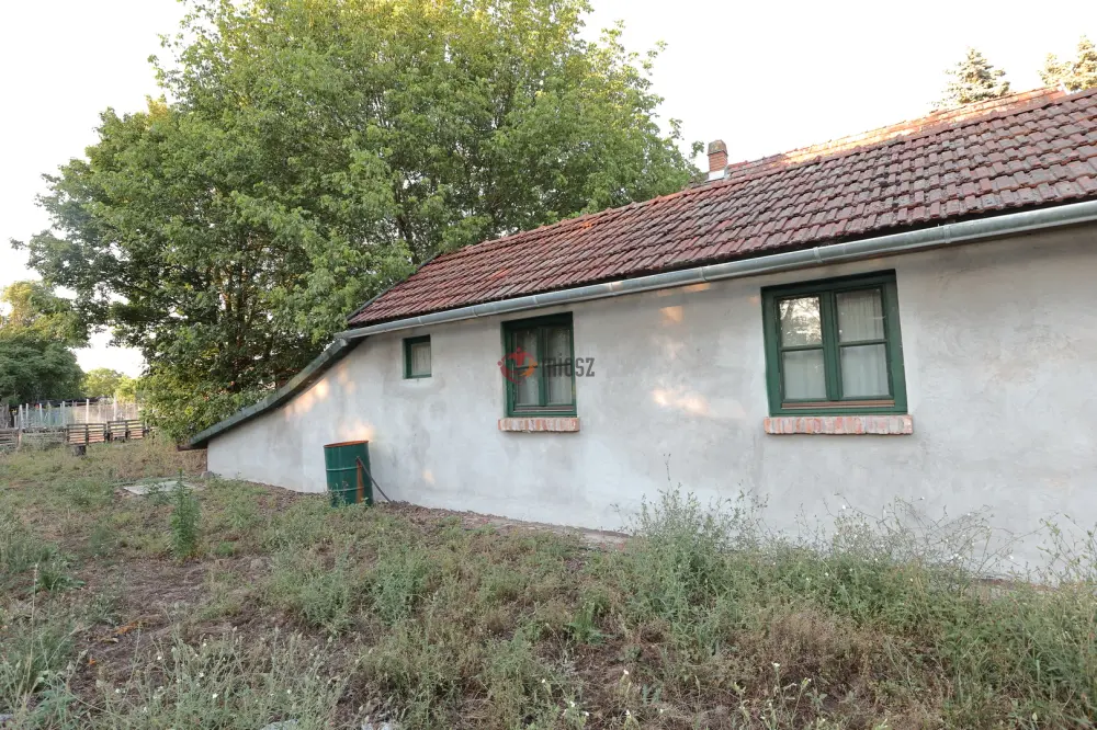 Csongrád megye - Sándorfalva