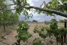Csongrád megye - Szatymaz