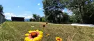 Pest megye - Verőce