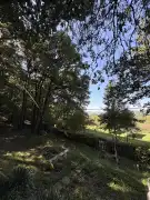Pest megye - Verőce