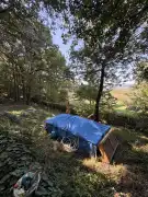Pest megye - Verőce