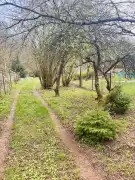 Pest megye - Verőce