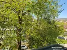 Pest megye - Budakeszi