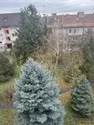 Budapest, XIV. kerület - Alsórákos