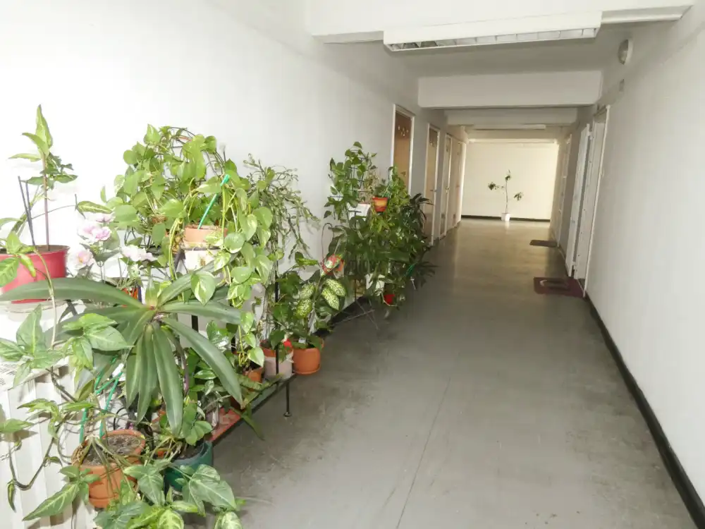 Budapest, XIV. kerület - Alsórákos