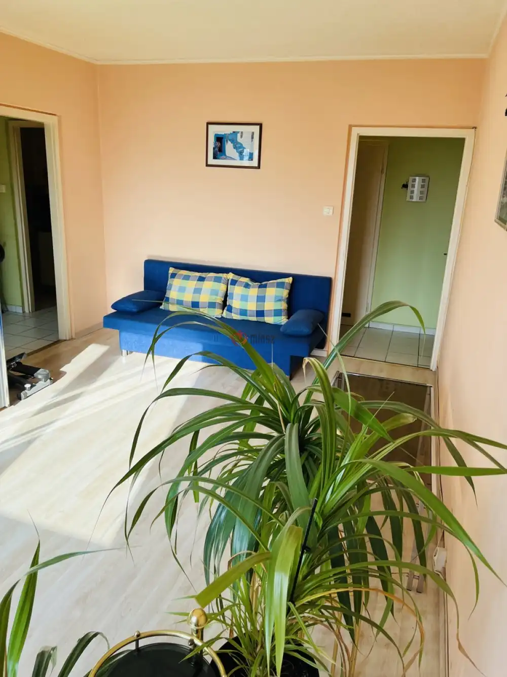 Budapest, XV. kerület - Újpalota