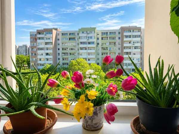 Eladó panellakás, Budapest, XX. kerület 4 szoba 67 m² 63.9 M Ft