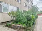 Budapest, XXI. kerület - Ady Endre utcai ltp.