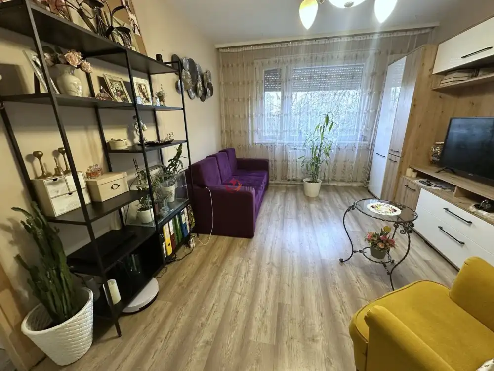 Csongrád megye - Szeged