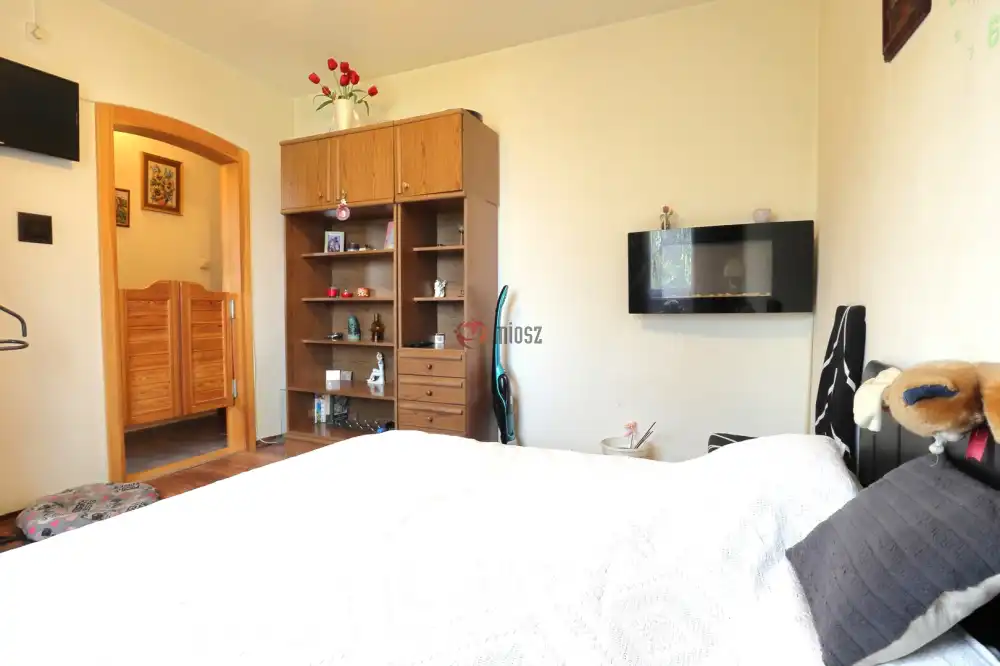 Csongrád megye - Szeged