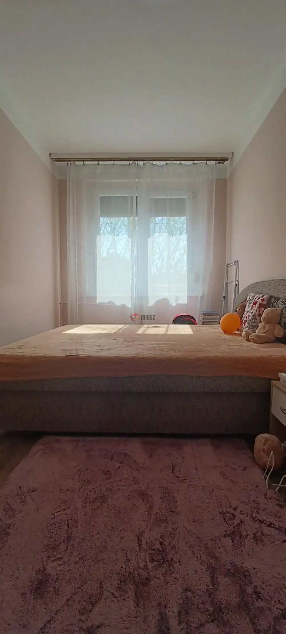 Csongrád megye - Szeged