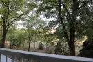 Csongrád megye - Szeged