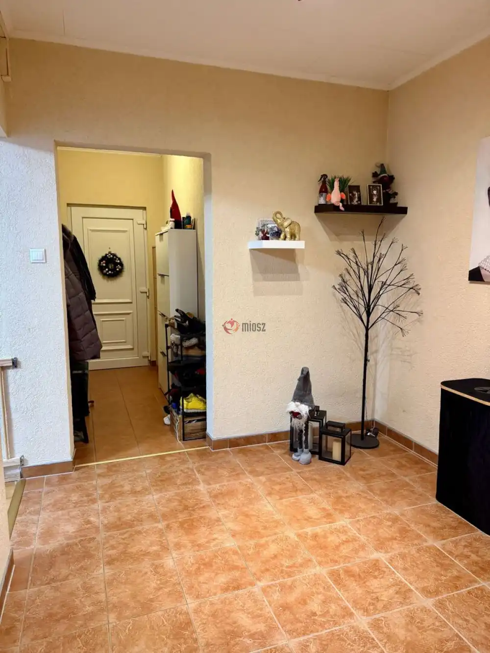 Csongrád megye - Szeged