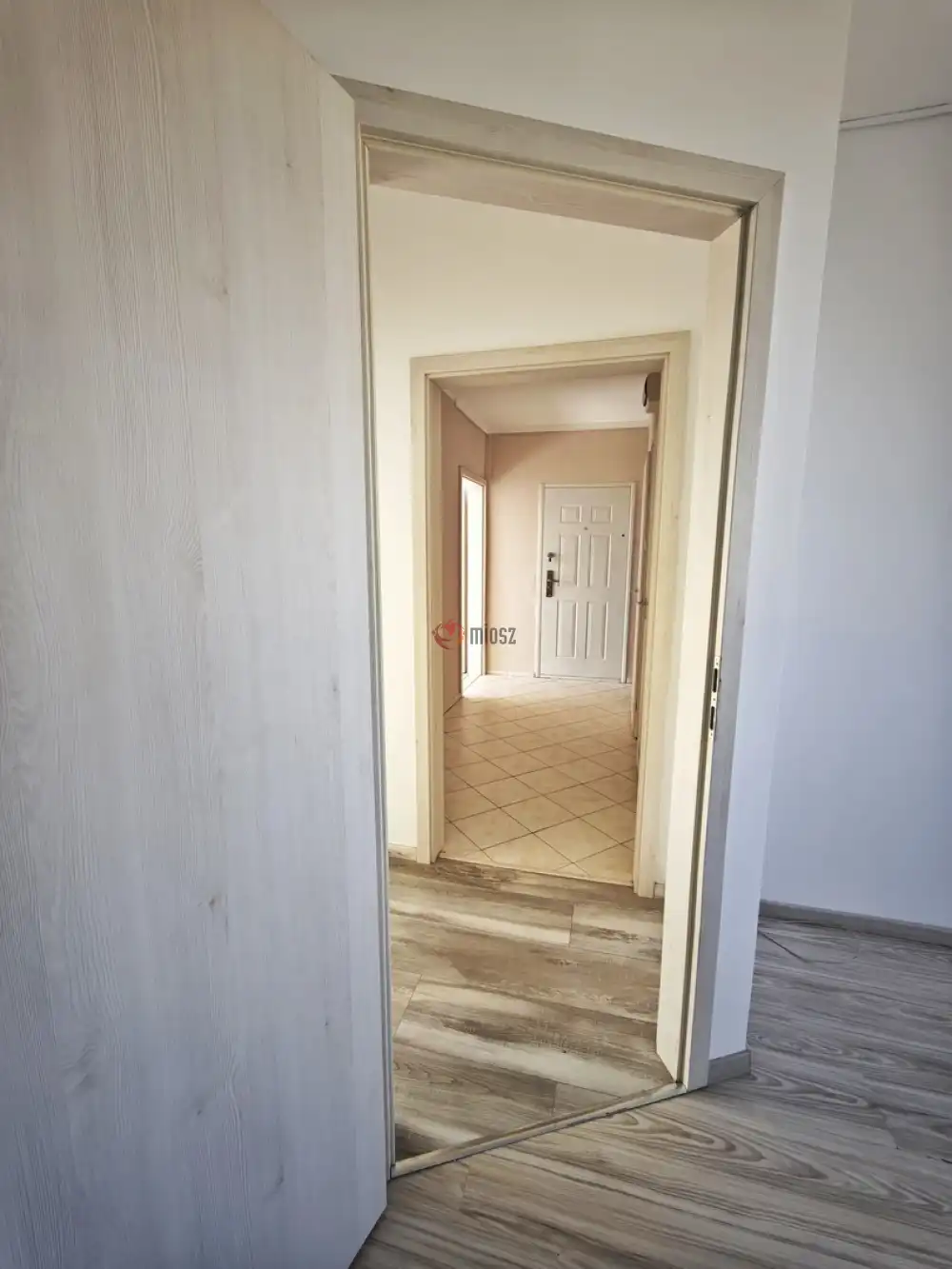 Csongrád megye - Szeged