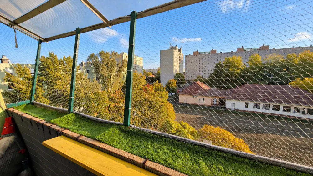 Csongrád megye - Szeged