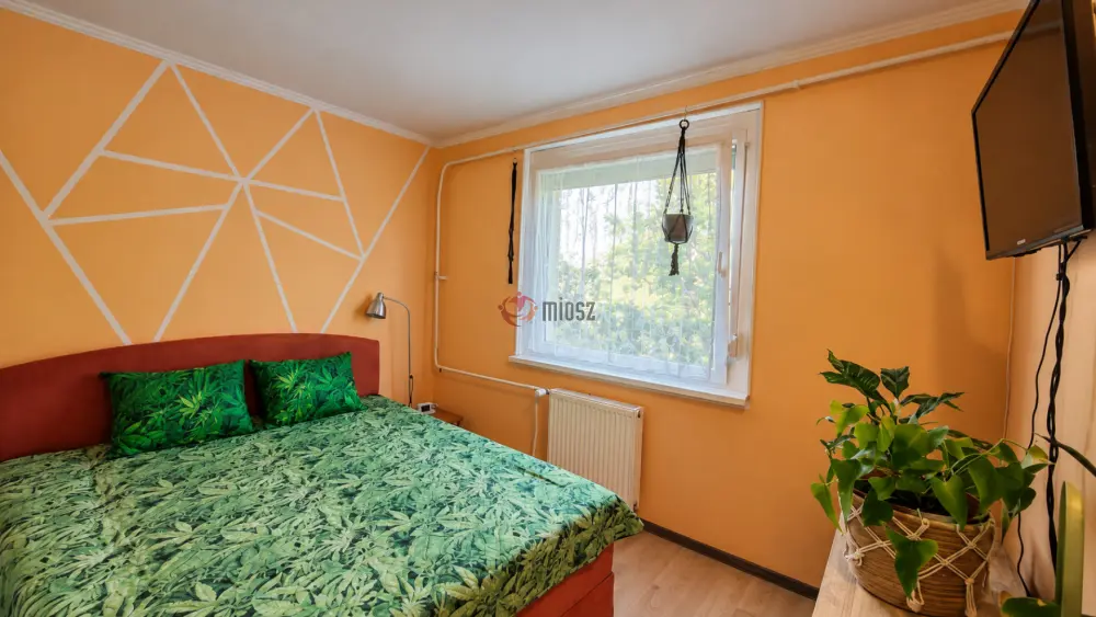 Csongrád megye - Szeged