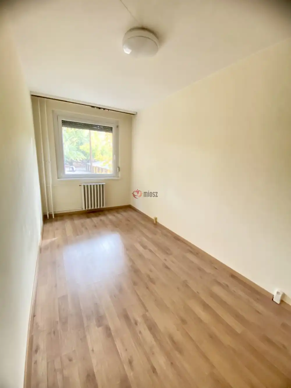 Csongrád megye - Szeged