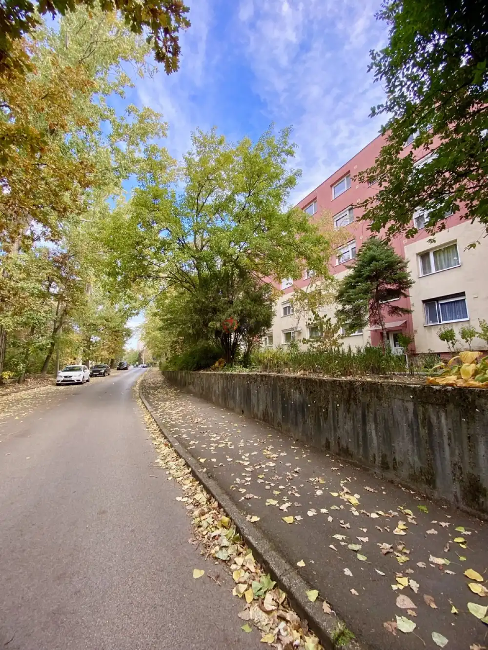 Csongrád megye - Szeged