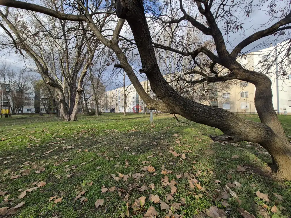 Jász-Nagykun-Szolnok megye - Tiszafüred