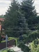 Veszprém megye - Balatonalmádi