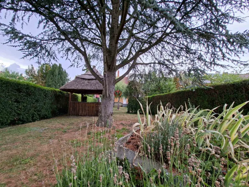 Vas megye - Szombathely