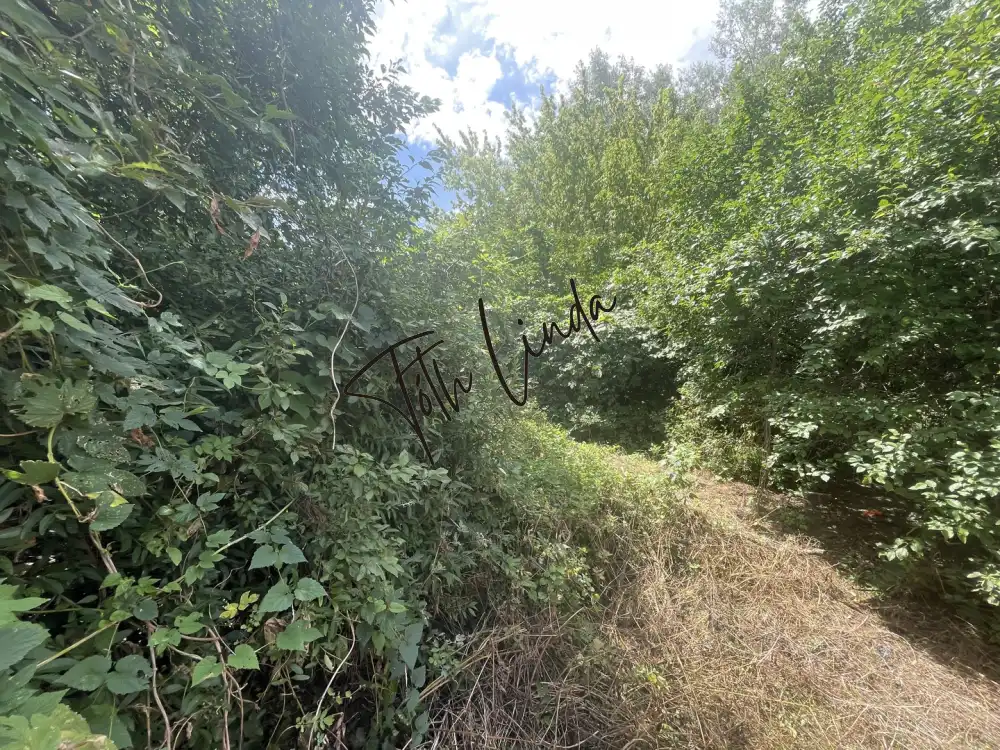 Komárom-Esztergom megye - Tatabánya