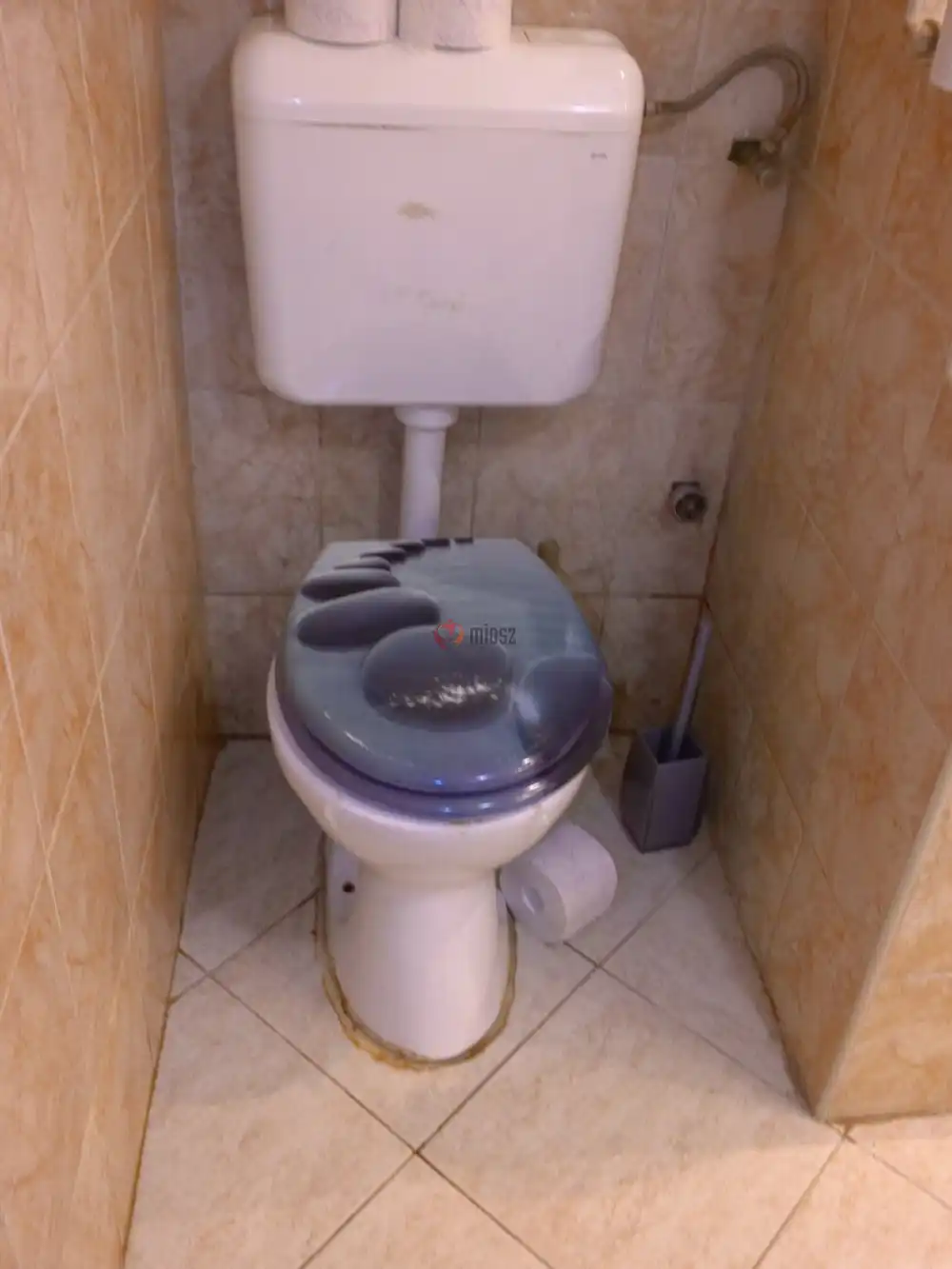 Pest megye - Albertirsa