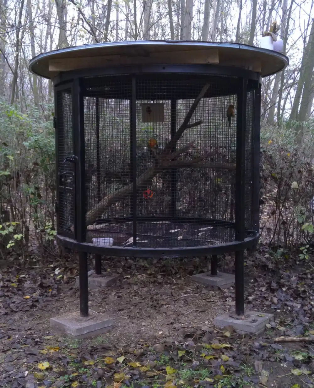 Pest megye - Albertirsa