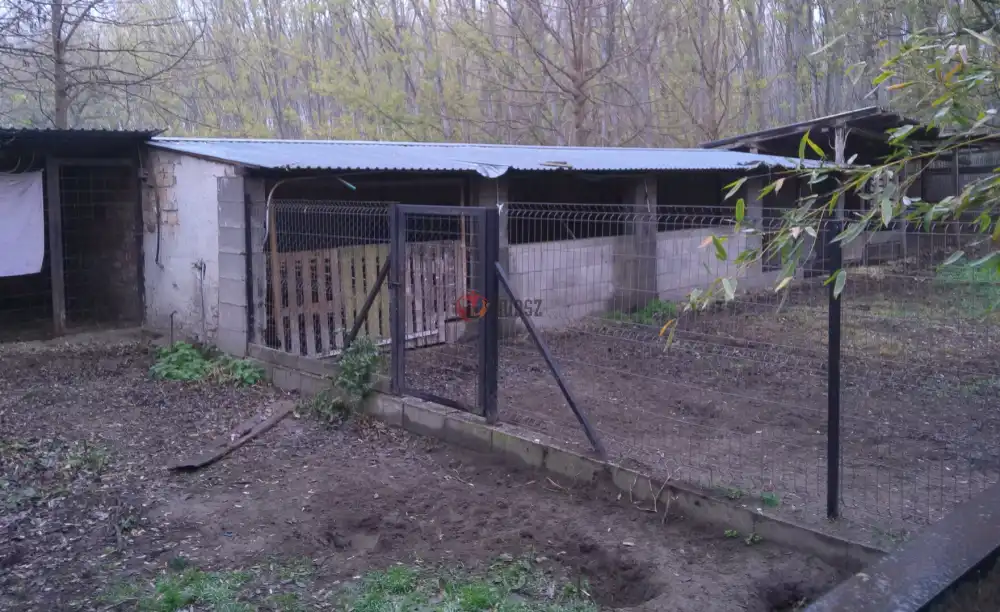 Pest megye - Albertirsa