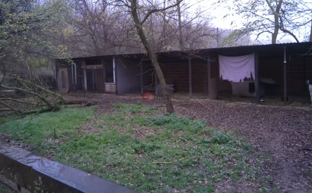 Pest megye - Albertirsa