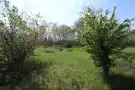 Csongrád megye - Ásotthalom