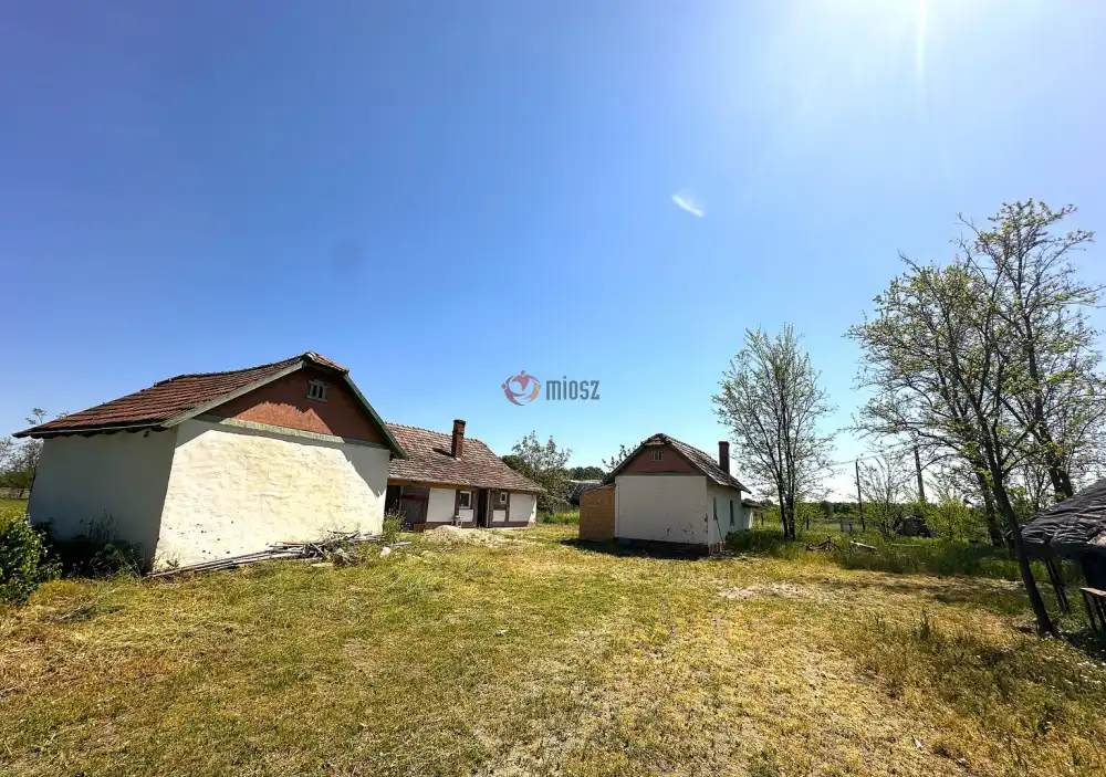 Csongrád megye - Ásotthalom