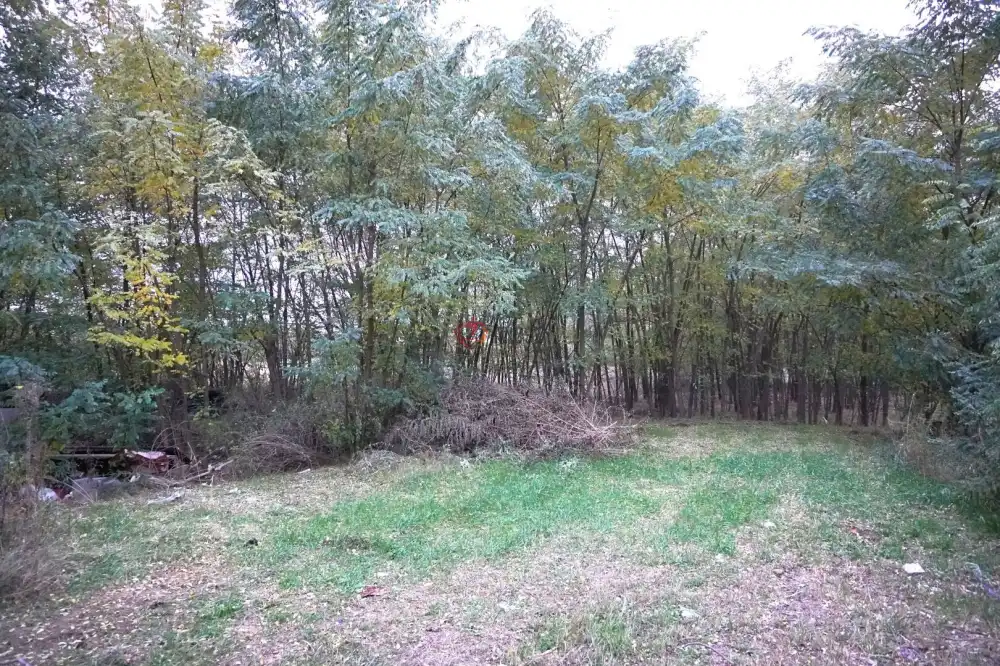 Csongrád megye - Balástya