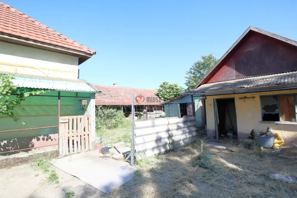 Csongrád megye - Csanytelek