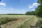 Pest megye - Csemő