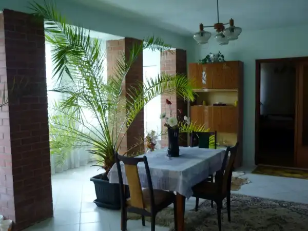 Eladó tanya, Domaszék 3 szoba 330 m² 55 M Ft
