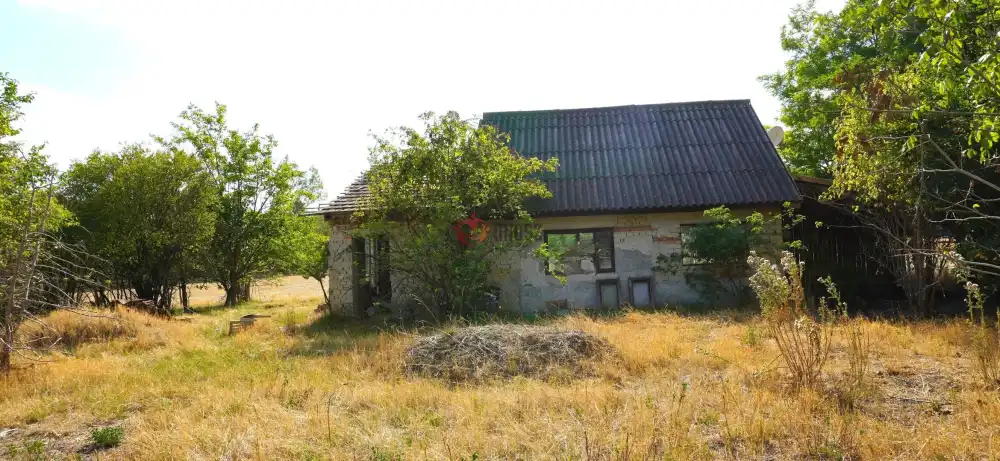 Csongrád megye - Domaszék