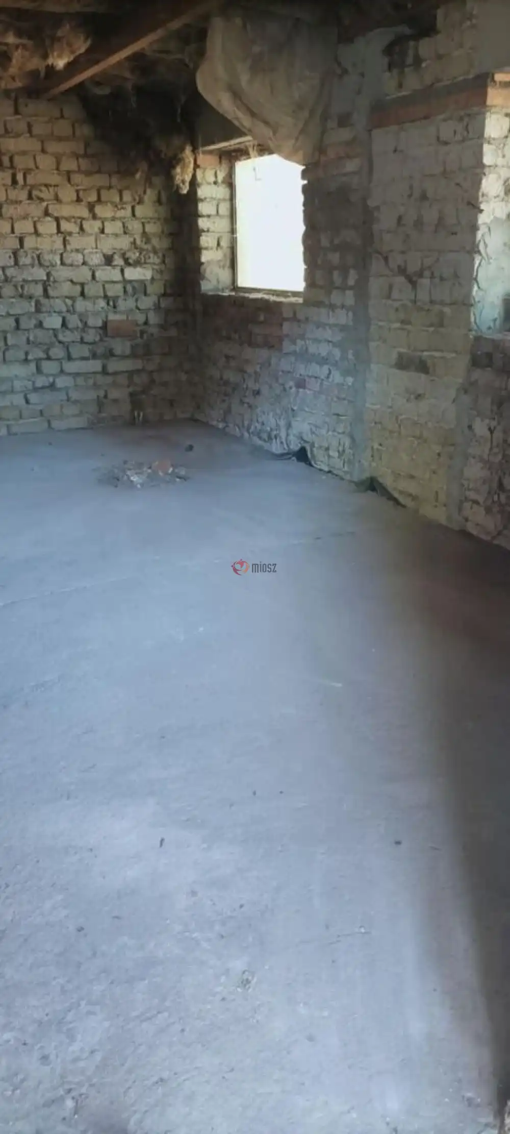 Csongrád megye - Domaszék