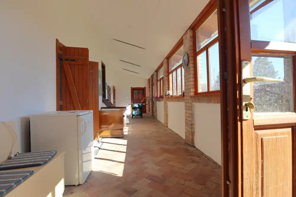 Csongrád megye - Domaszék