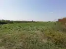 Bács-Kiskun megye - Dunapataj