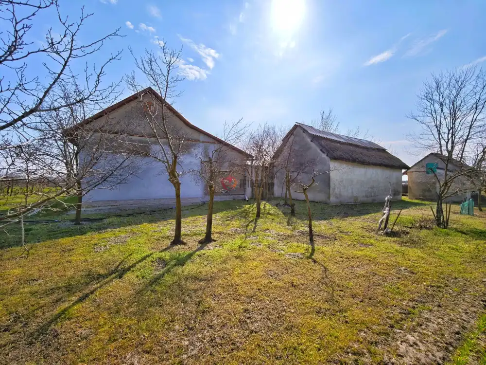 Csongrád megye - Forráskút