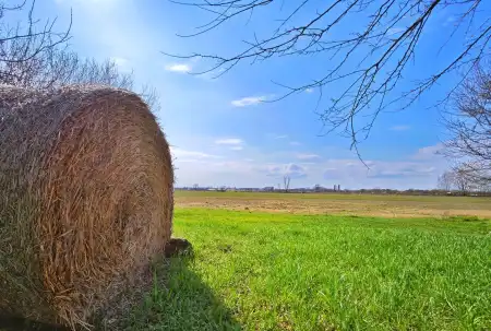 eladó tanya, Forráskút
