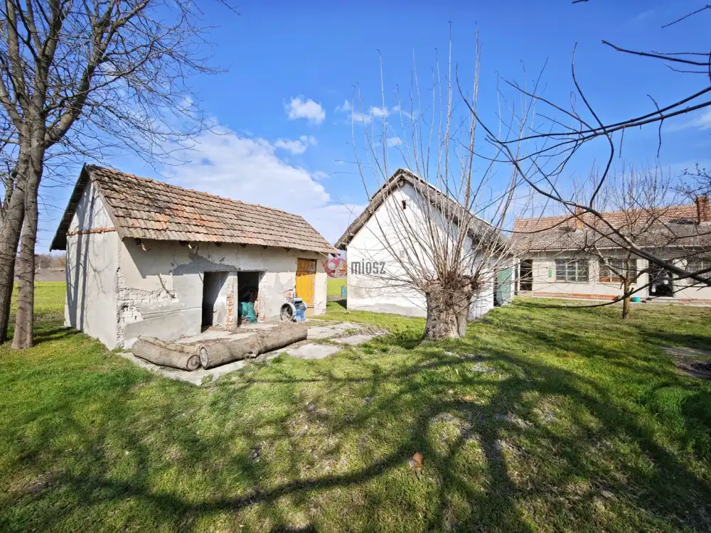 Csongrád megye - Forráskút